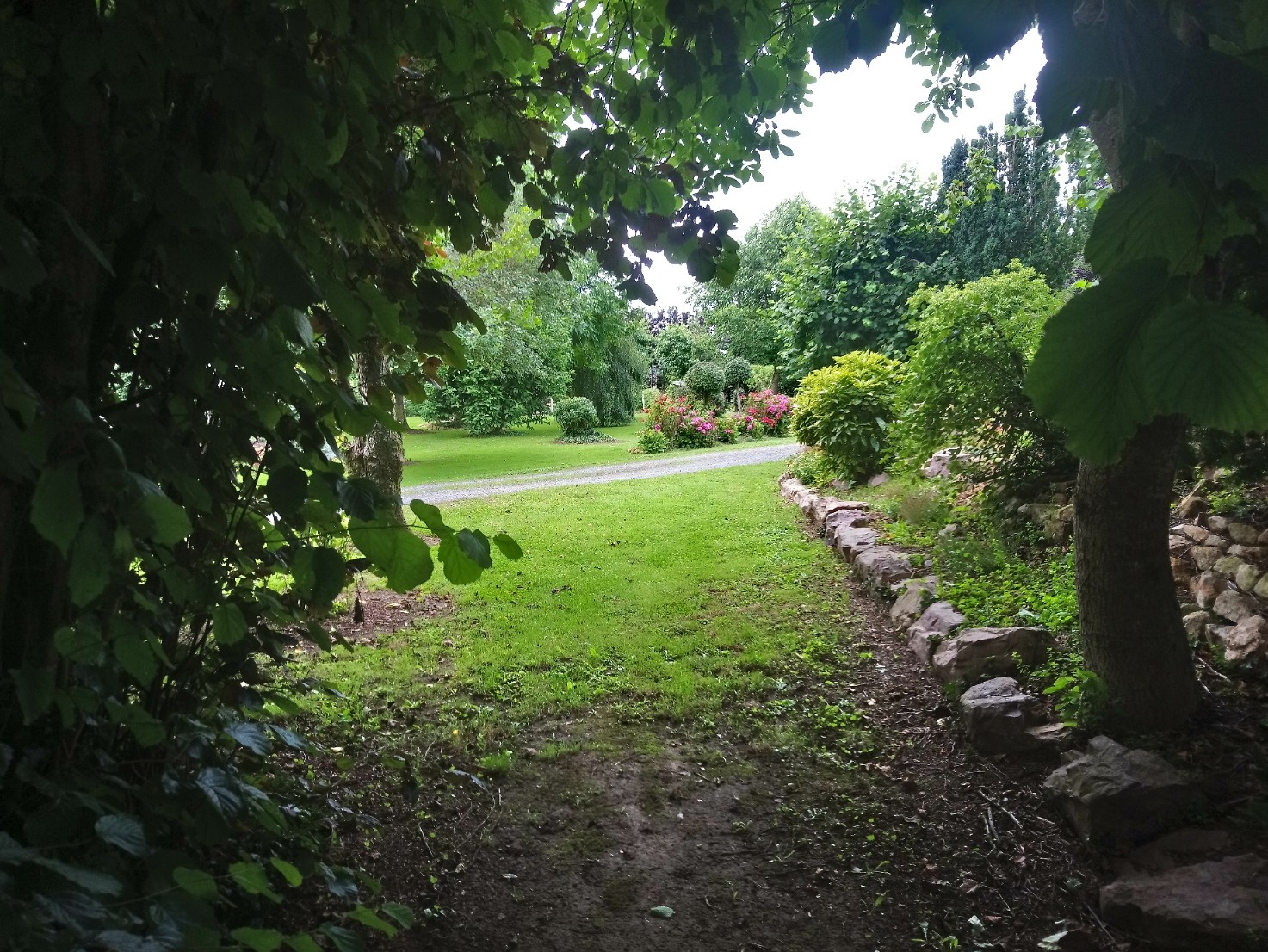 Dsc 0249