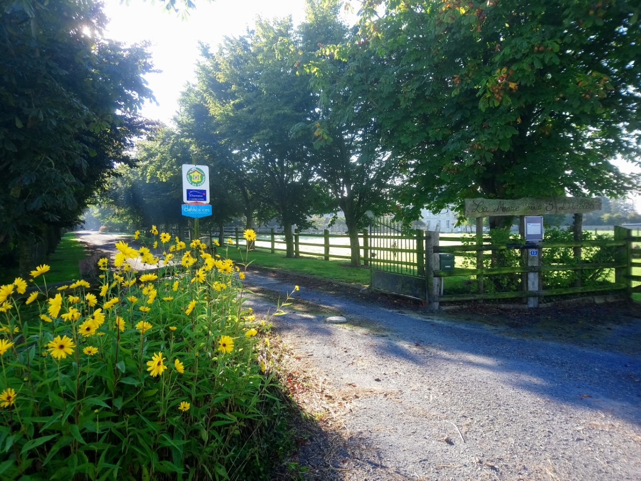 Dsc 0485