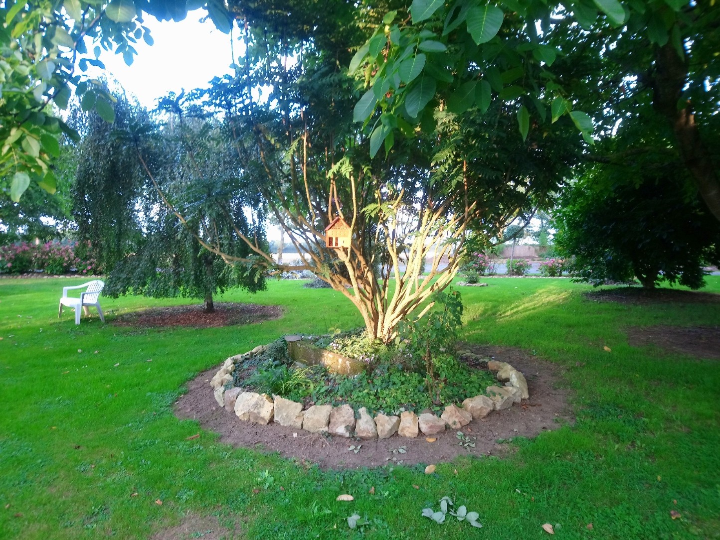 Dsc 0526